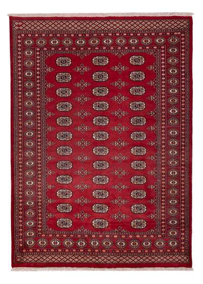 Tapete Paquistão 171x240cm - Tapete Oriental
