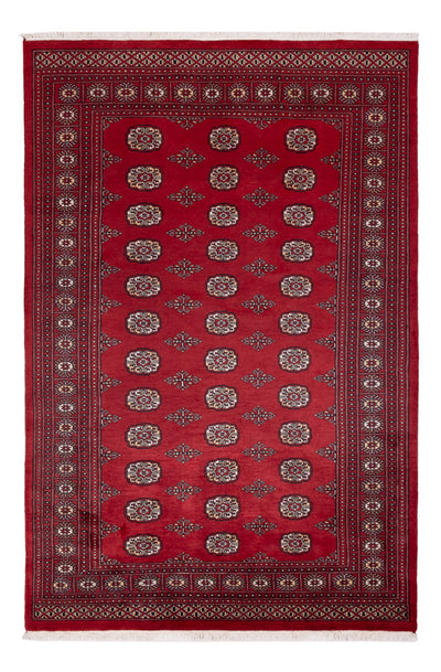 Tapete Paquistão 167x249cm - Tapete Oriental