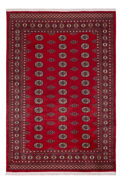 Tapete Paquistão 164x239cm - Tapete Oriental