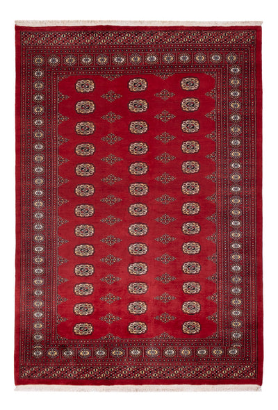 Tapete Paquistão 165x235cm - Tapete Oriental