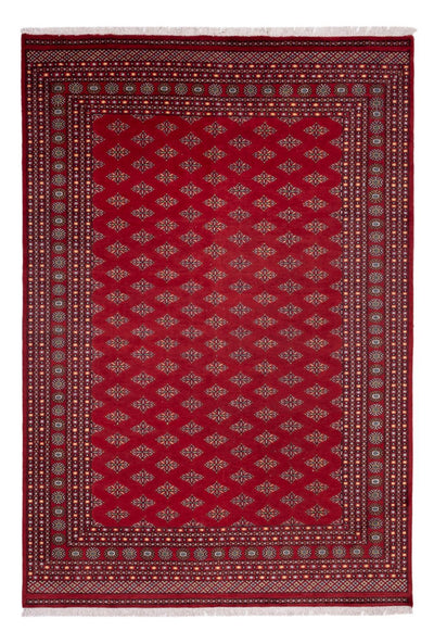 Bukhara Tapete 249x365cm - Tapete Oriental