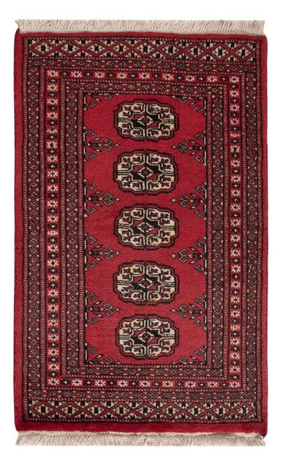 Tapete Paquistão 60x95cm - Tapete Oriental