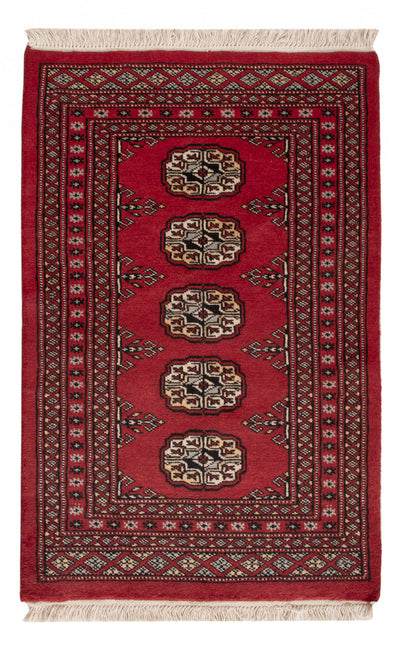 Tapete Paquistão 61x93cm - Tapete Oriental