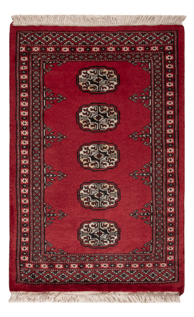 Tapete Paquistão 62x95cm - Tapete Oriental
