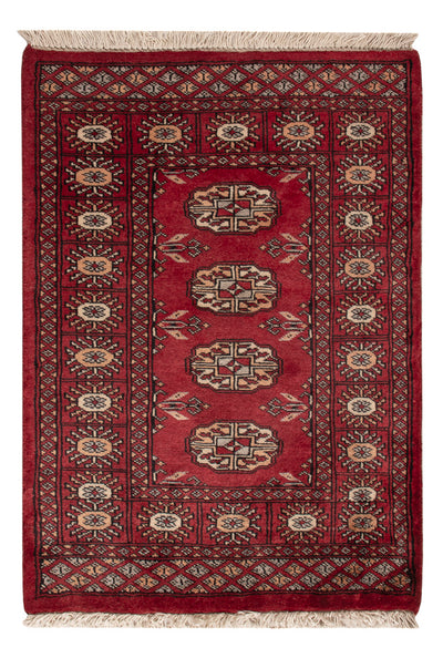 Tapete Paquistão 64x88cm - Tapete Oriental
