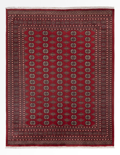 Tapete Paquistão 248x318cm - Tapete Oriental