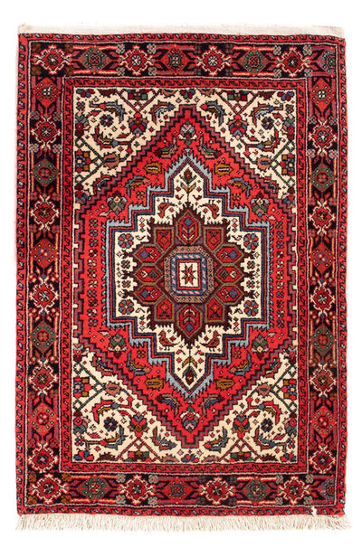 Gholtogh Tapete 62x91cm - Tapete persa