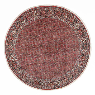 Bidjar Tapete 300x300cm - Tapete persa