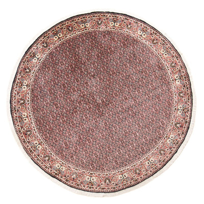 Bidjar Tapete 255x255cm - Tapete persa