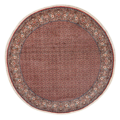 Bidjar Tapete 300x300cm - Tapete persa