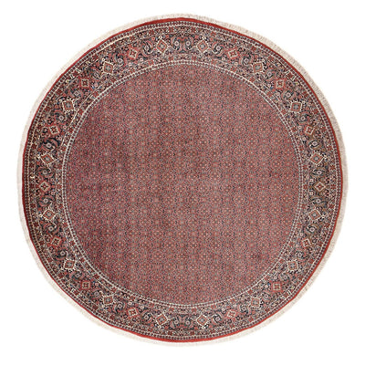 Bidjar Tapete 300x300cm - Tapete persa