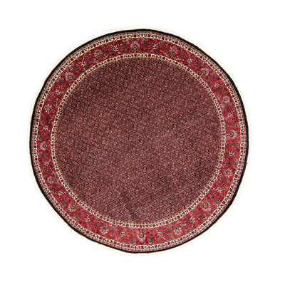 Bidjar Tapete 250x250cm - Tapete persa
