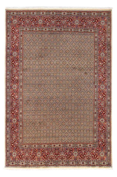 Moud Tapete 238x346cm - Tapete persa