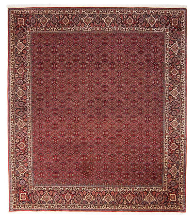 Bidjar Tapete 256x288cm - Tapete persa