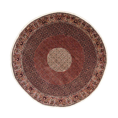 Bidjar Tapete 260x260cm - Tapete persa