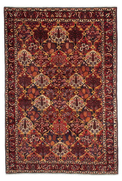 Bakhtiari Tapete 211x305cm - Tapete persa