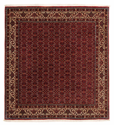 Bidjar Tapete 200x207cm - Tapete persa