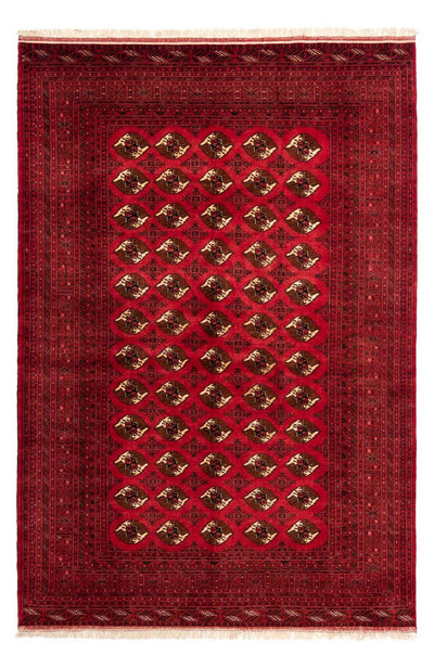 Shiraz Tapete 203x290cm - Tapete persa