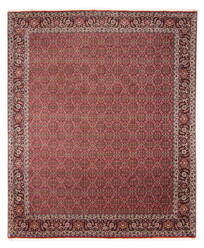 Bidjar Tapete 252x300cm - Tapete persa