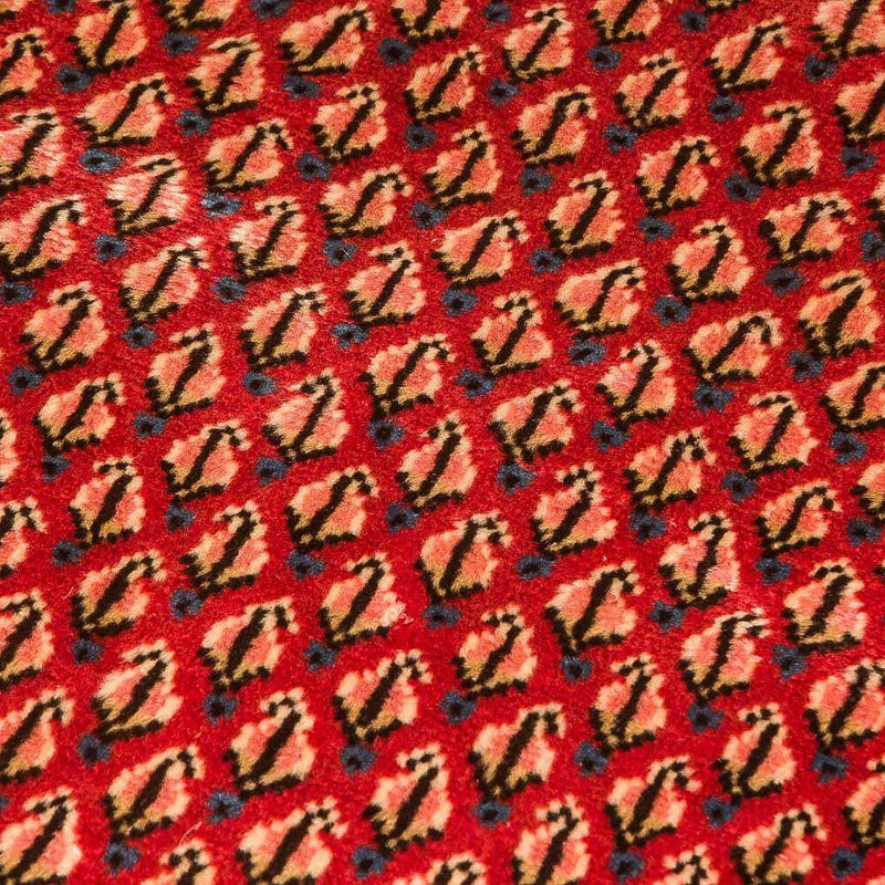 Mir Tapete 80x197cm - Tapete persa