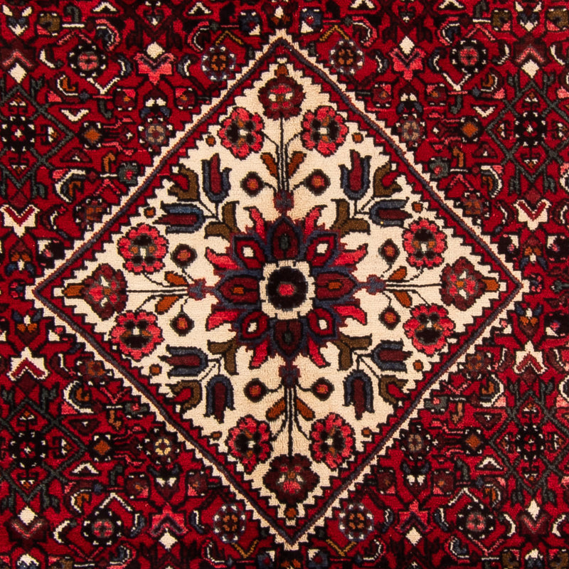 Hamadan Tapete 310x165cm - Tapete persa