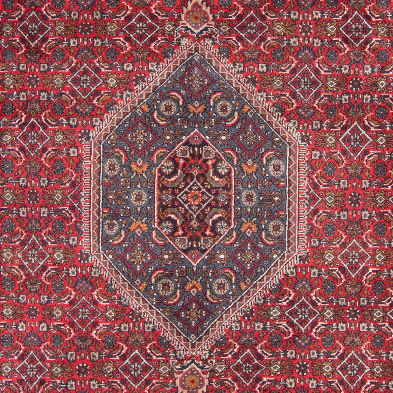 Bidjar Indo Tapete 251x338cm - Tapete Oriental