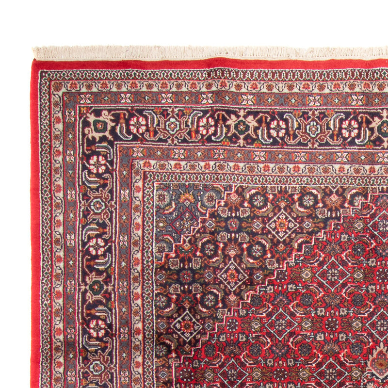 Bidjar Indo Tapete 251x338cm - Tapete Oriental