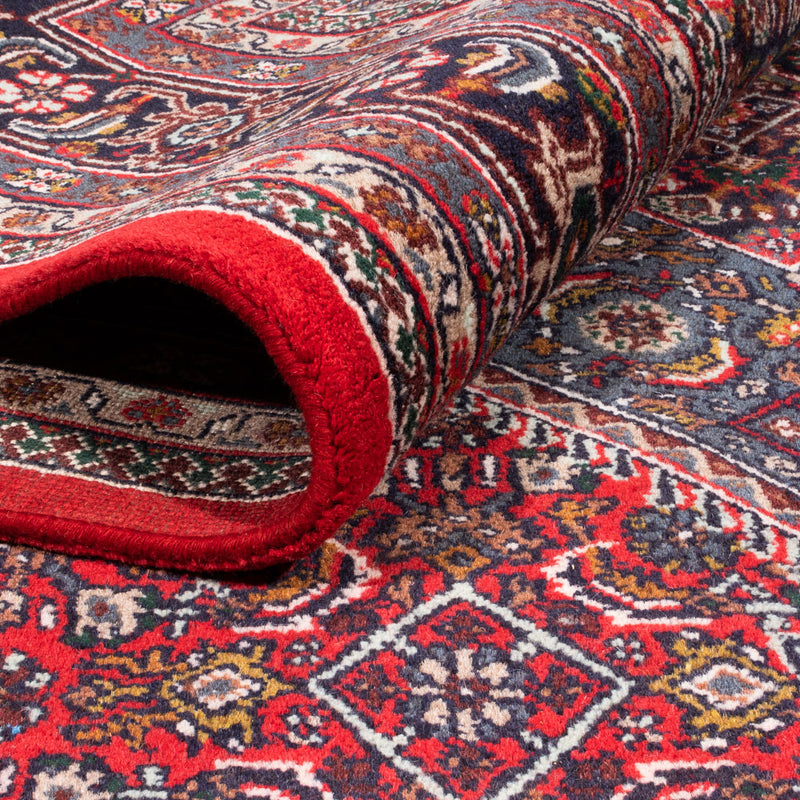 Bidjar Indo Tapete 251x338cm - Tapete Oriental