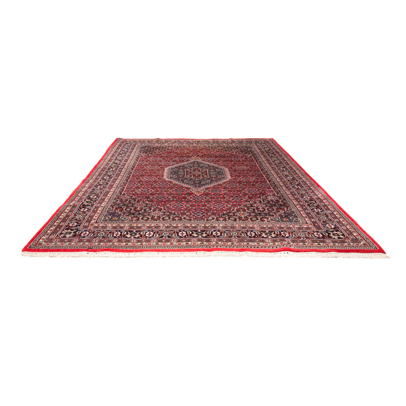 Bidjar Indo Tapete 251x338cm - Tapete Oriental