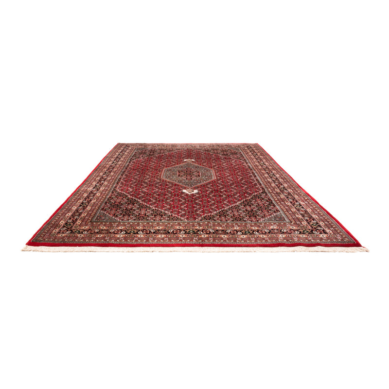 Indo Bidjar Teppich 361x255cm - Orientteppich