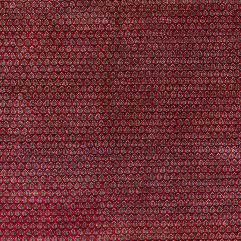 Indo Mir Teppich 335x249cm - Orientteppich