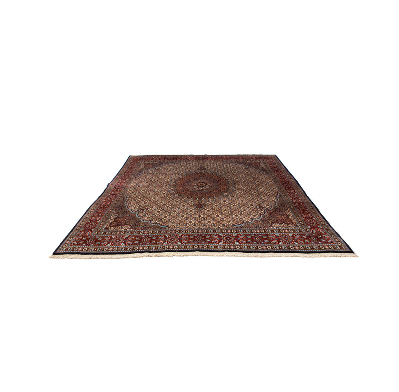 Moud Tapete 265x242cm - Tapete persa