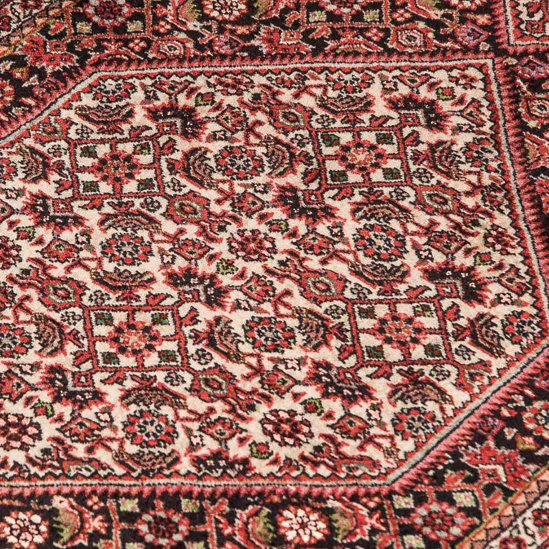 Bidjar - Takab Tapete 246x77cm - Tapete persa
