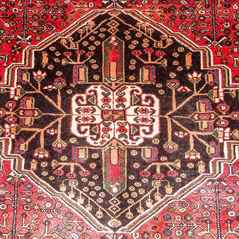 Qashqai Tapete 245x161cm - Tapete persa