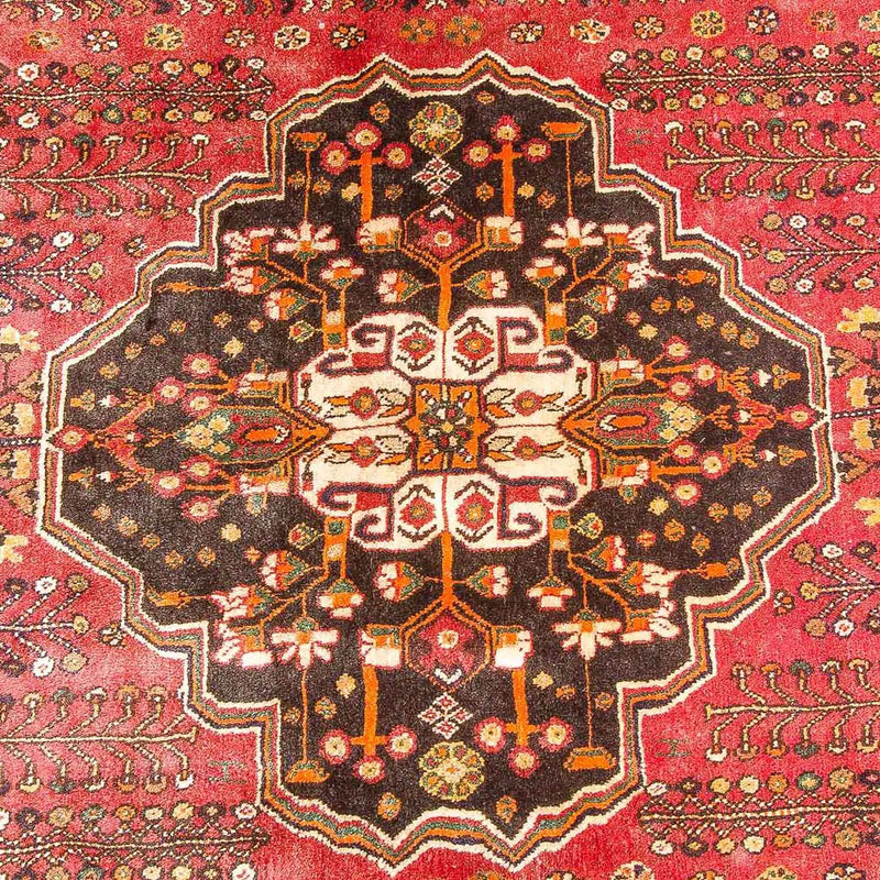 Qashqai Tapete 253x161cm - Tapete persa