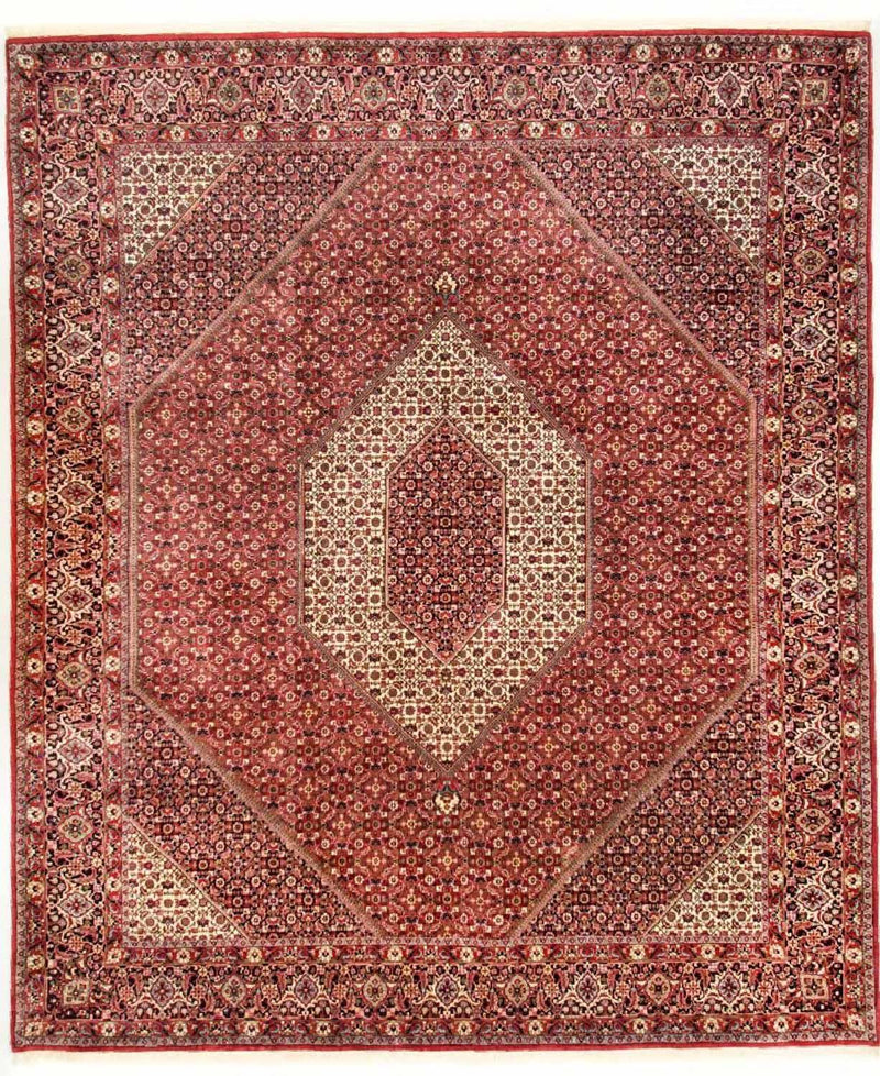 Tapete Persa - Bijar - Royal - 310 x 250 cm - bege