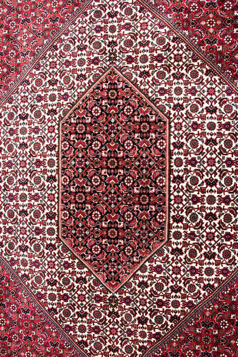 Tapete Persa - Bijar - Royal - 310 x 250 cm - bege