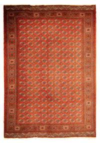 Tapete turquaman - 333 x 260 cm - vermelho escuro – product image
