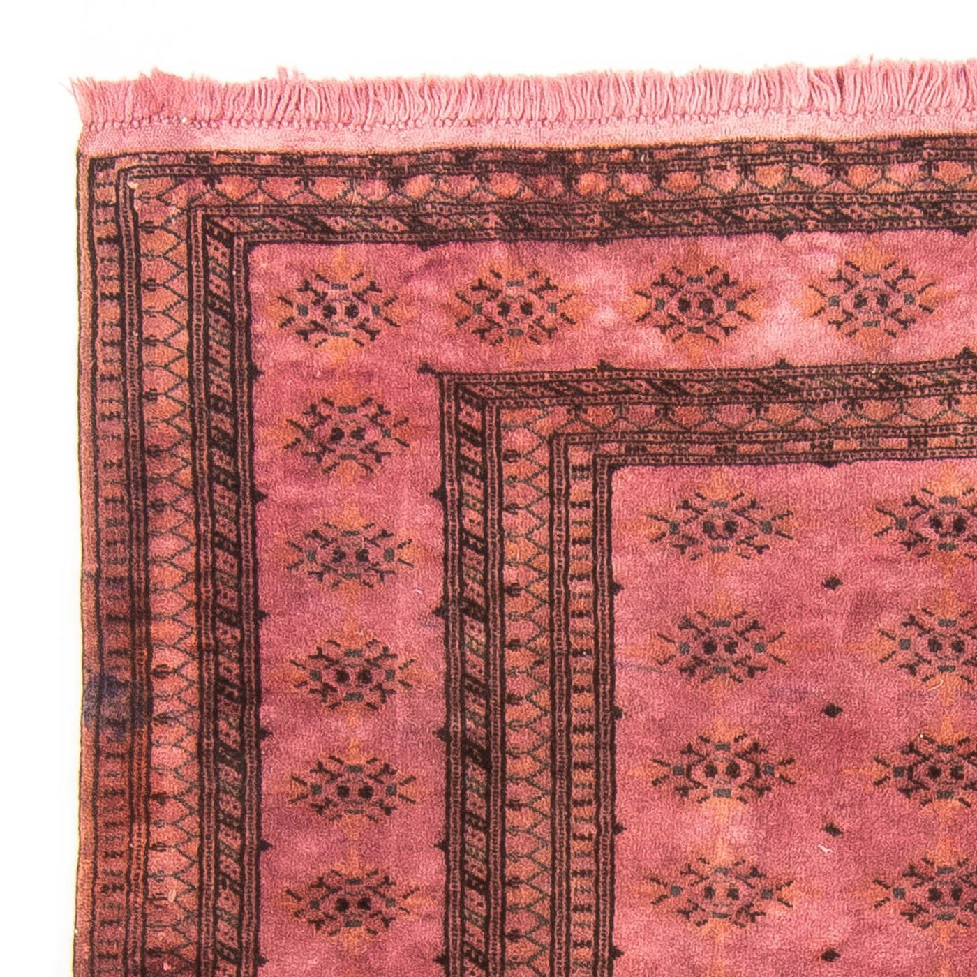 Tapete Paquistão 165x131cm - Tapete persa