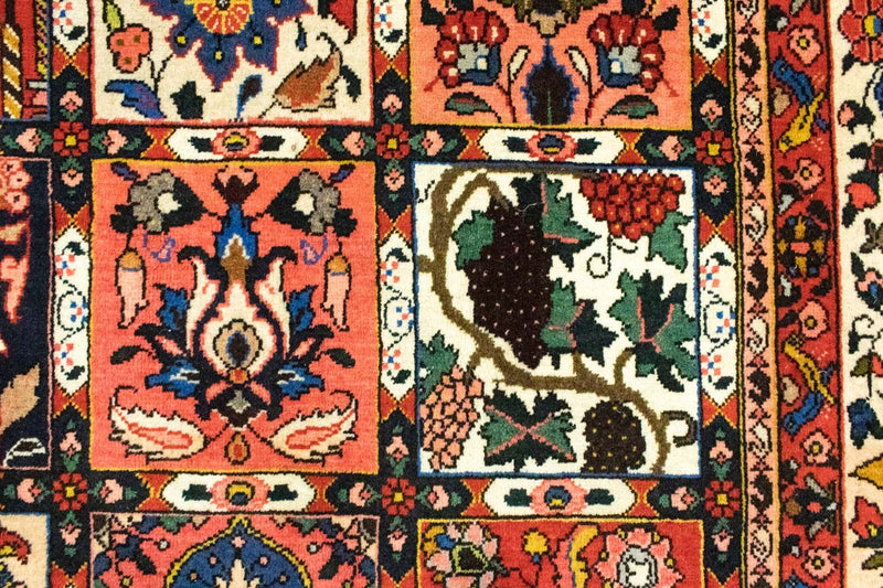 Bakhtiari Tapete 315x207cm - Tapete persa