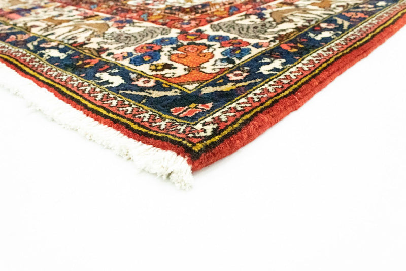Bakhtiari Tapete 315x207cm - Tapete persa