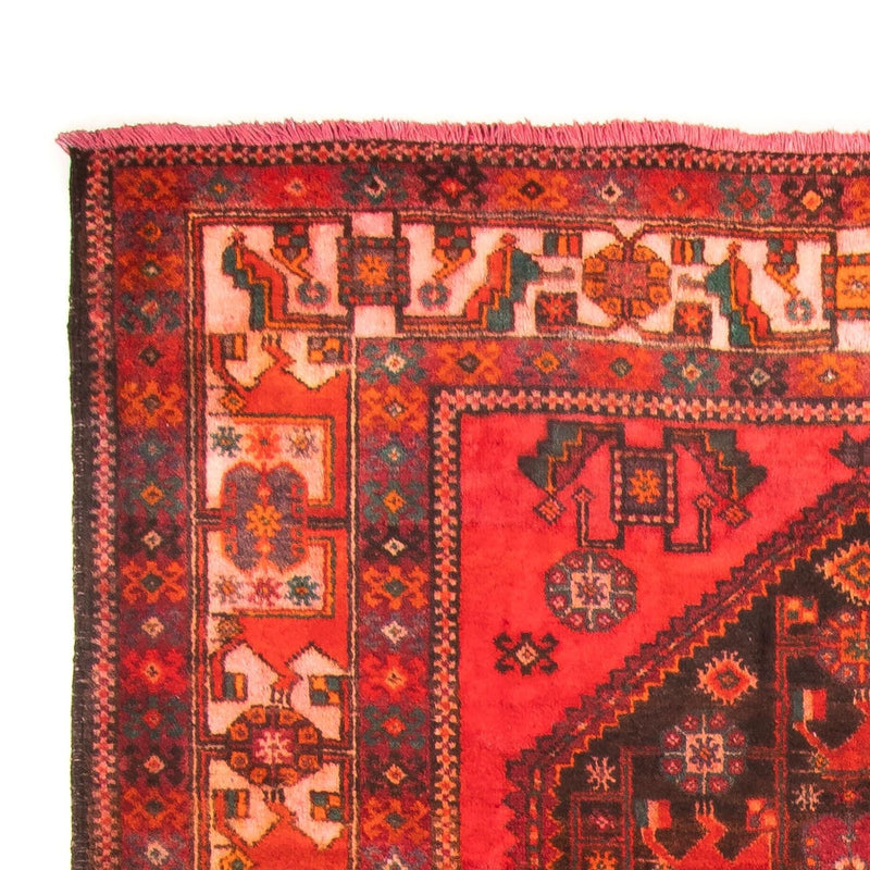 Hamadan Tapete 297x154cm - Tapete persa