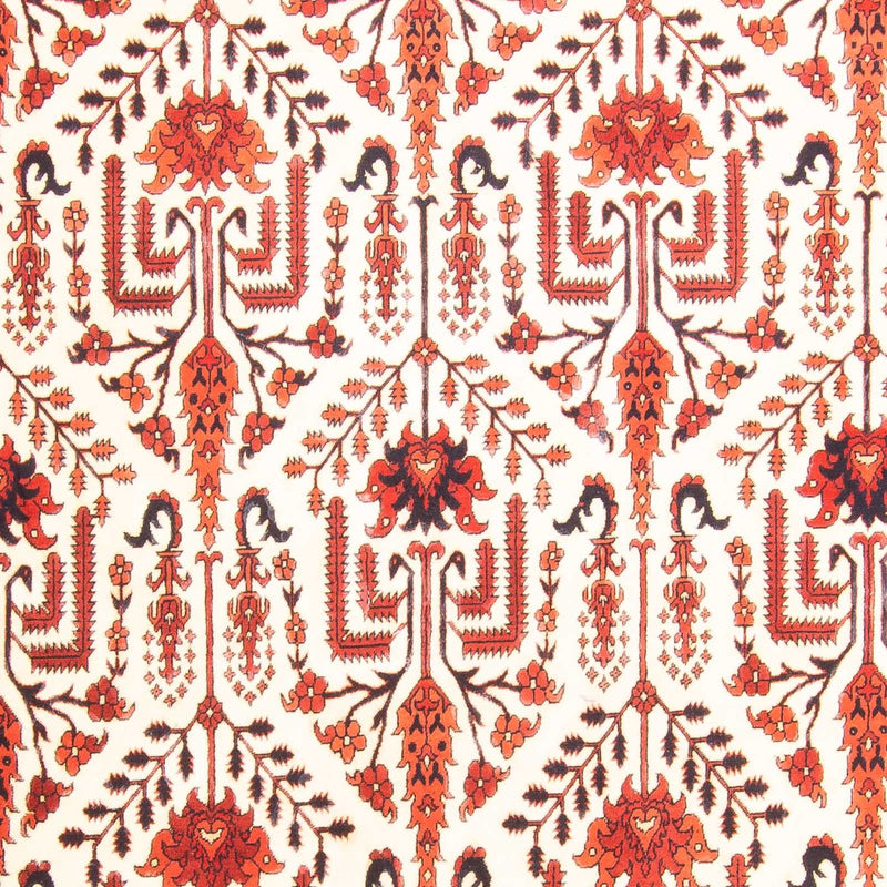 Tapete afegão 270x186cm - Tapete Oriental