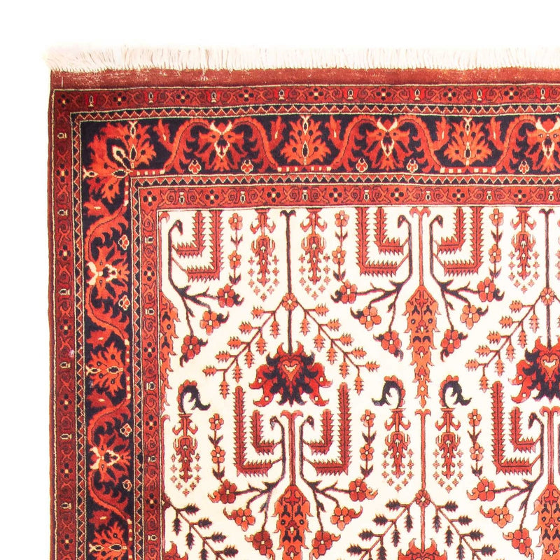 Tapete afegão 270x186cm - Tapete Oriental