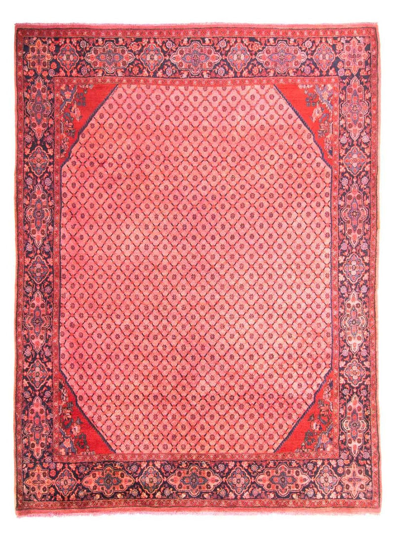 Kolyai Tapete 290x210cm - Tapete persa