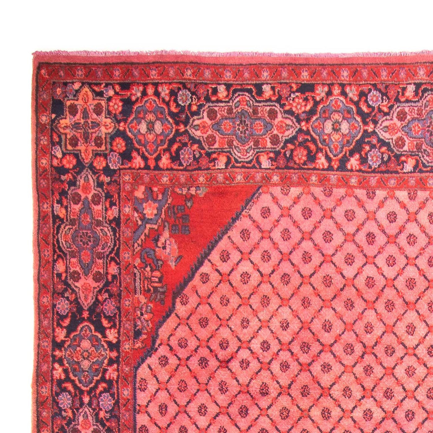 Kolyai Tapete 290x210cm - Tapete persa