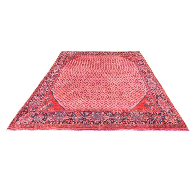 Kolyai Tapete 290x210cm - Tapete persa