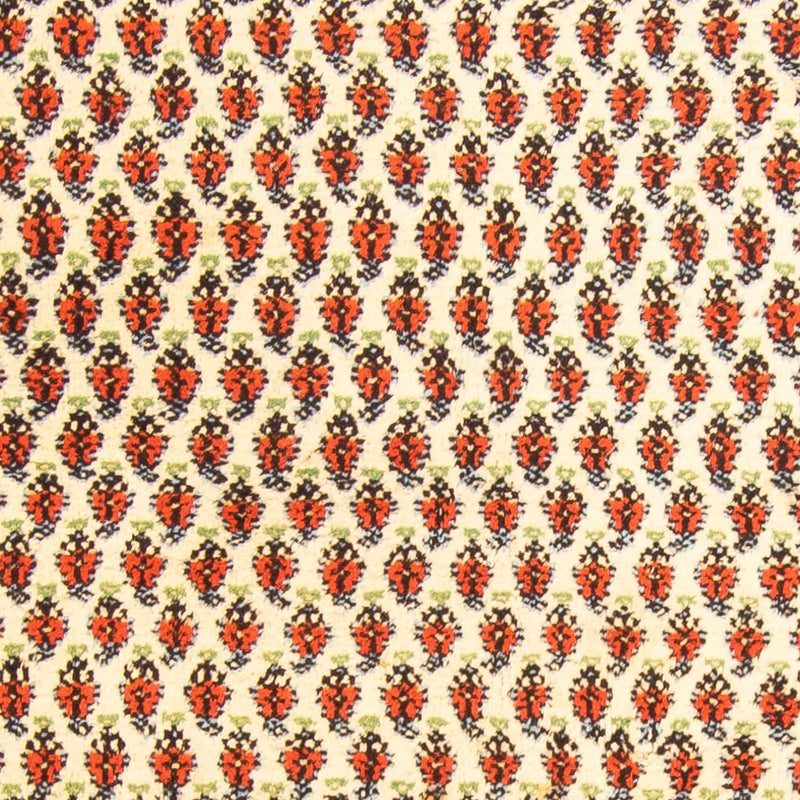 Mir Indo Tapete 174x238cm - Tapete Oriental