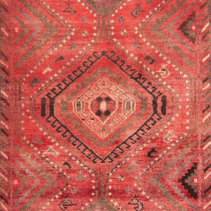 Qashqai Tapete 242x174cm - Tapete persa