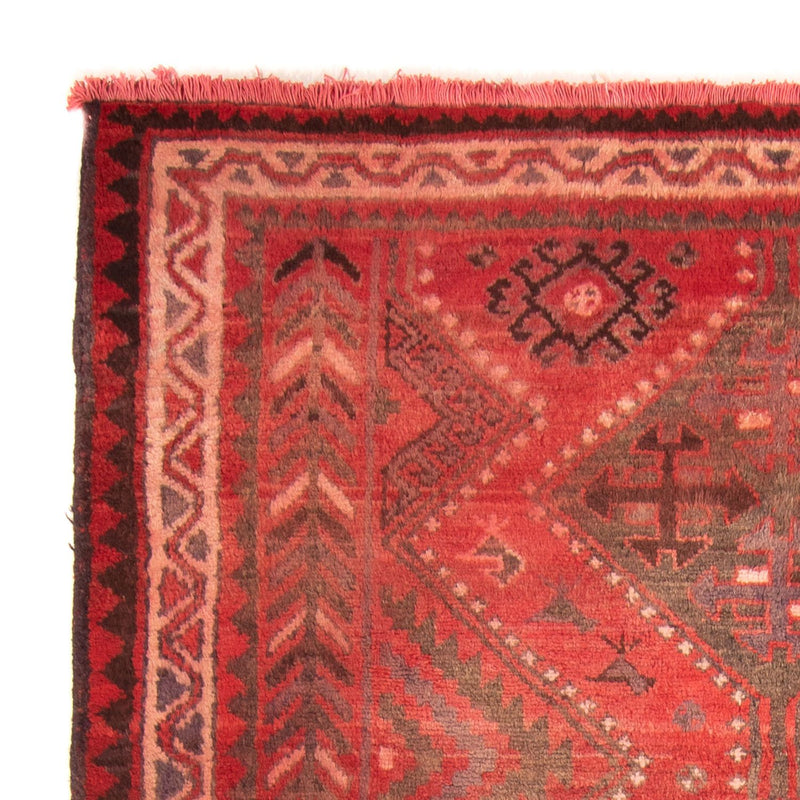 Qashqai Tapete 242x174cm - Tapete persa